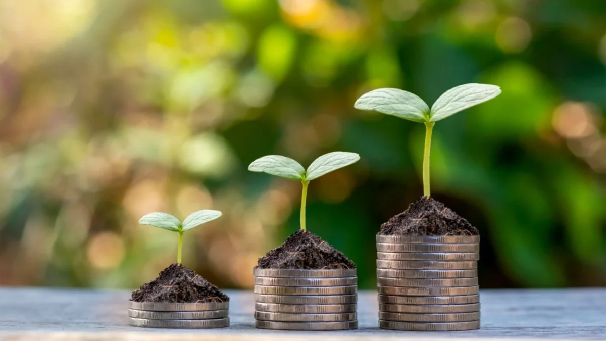 Lansarea proiectului “Code Of Talent Campus” – Comunicat de presă