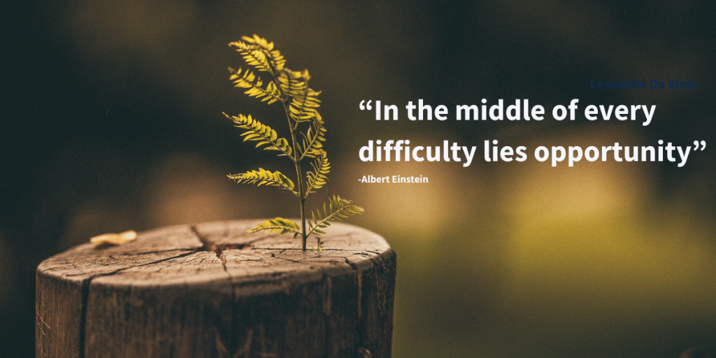 Photo of a tree branch resisting the powerful wind, signifying resilience and strength. The image also includes one of the most appealing inspirational quotes for work team motivation: “In the middle of every difficulty lies opportunity” from Albert Einstein.